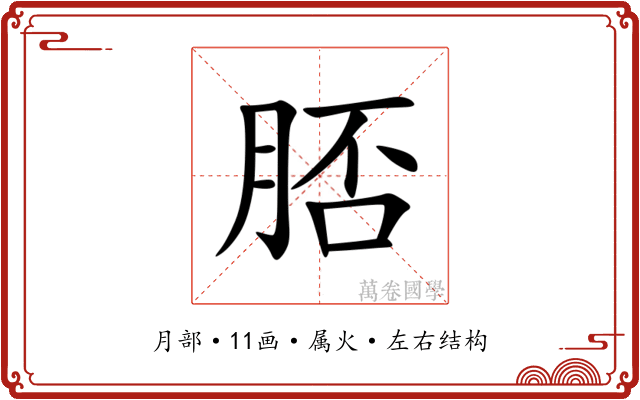 脴 脴
