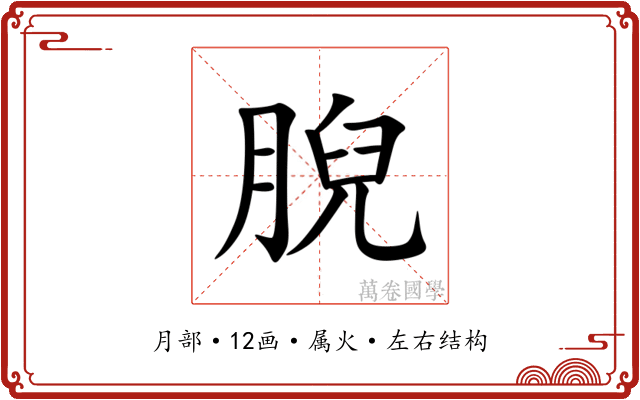 腉