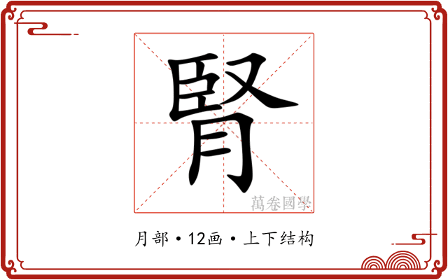腎