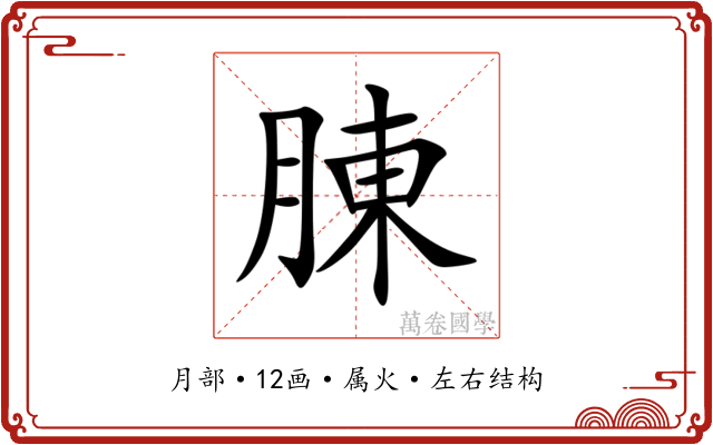 腖 腖
