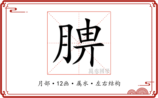 腗 腗