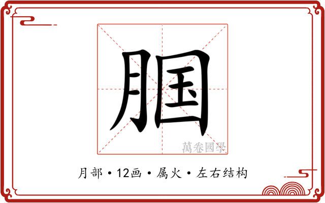 腘 腘