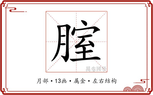 腟