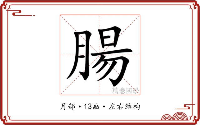 腸 腸
