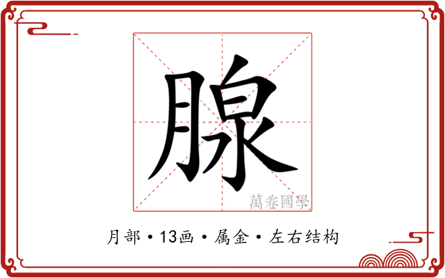 腺 腺