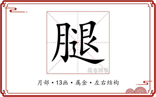 腿 腿