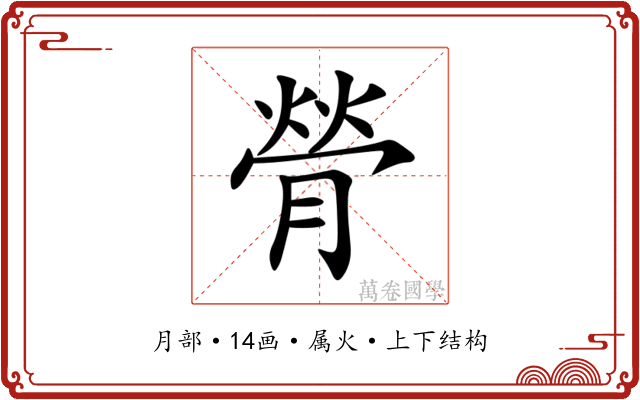 膋