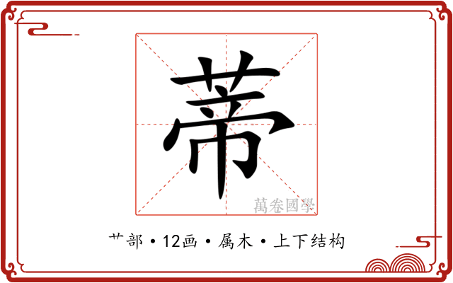 蒂