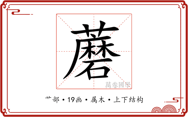 蘑 蘑