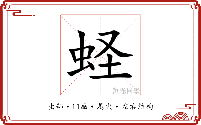 蛏 蛏
