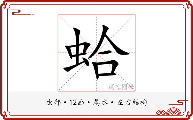 蛤 蛤