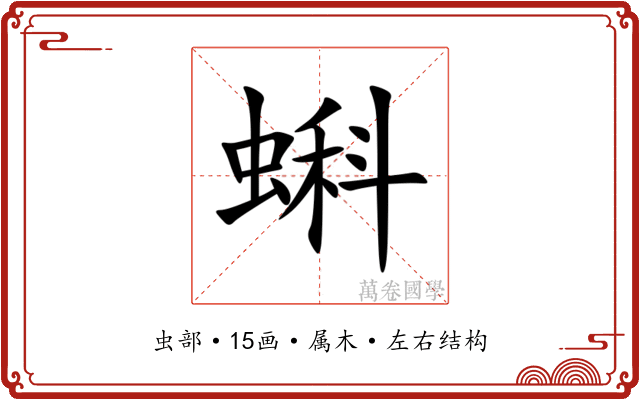 蝌 蝌
