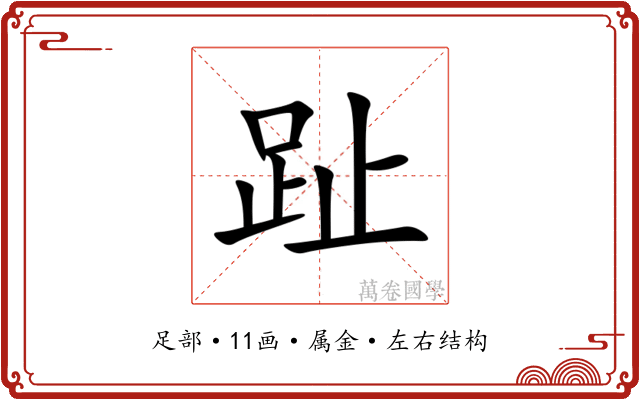 趾