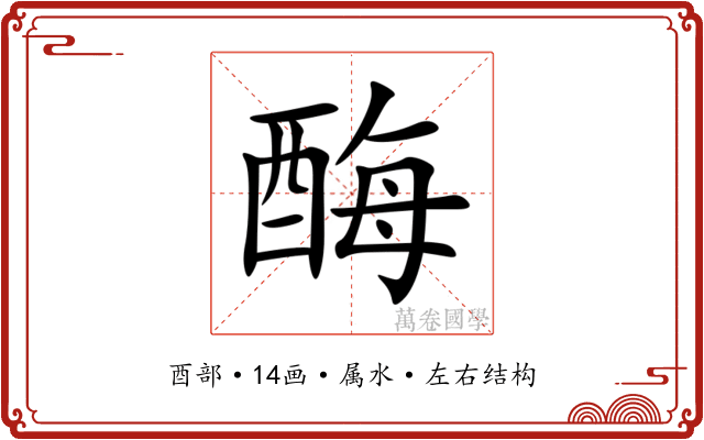 酶 酶