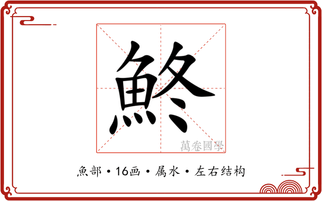 鮗 鮗