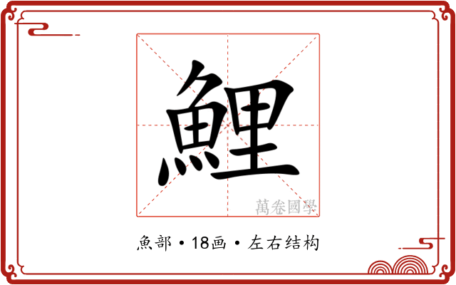 鯉 鯉