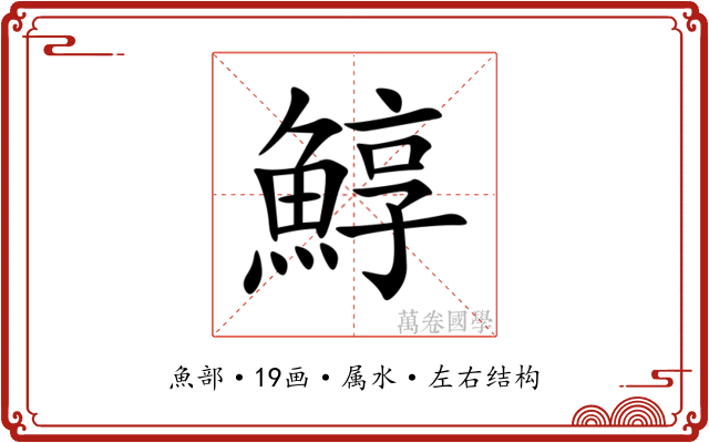 鯙 鯙