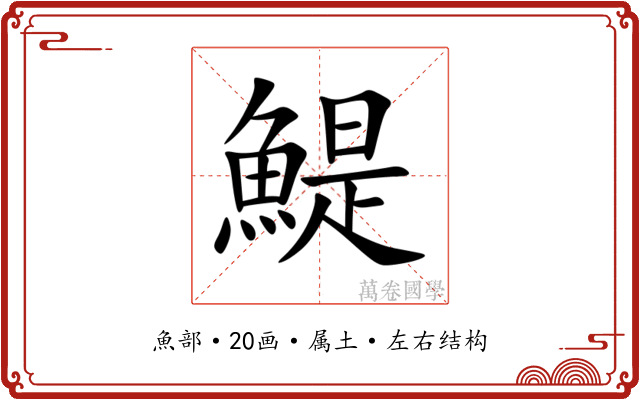 鯷 鯷