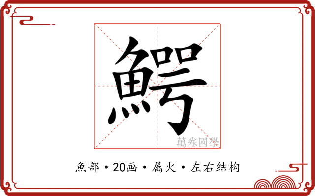 鰐 鰐