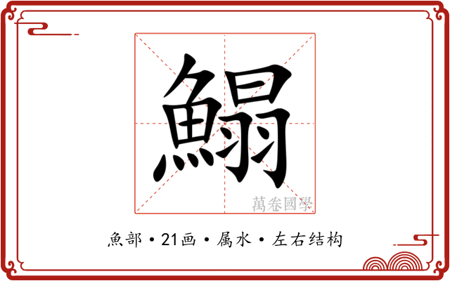 鰨