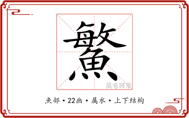鰵