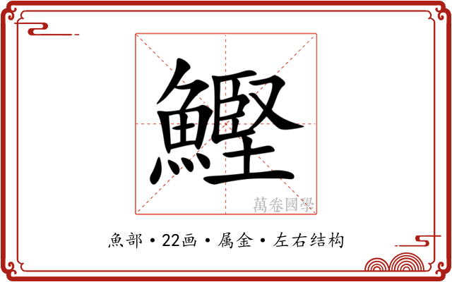 鰹 鰹