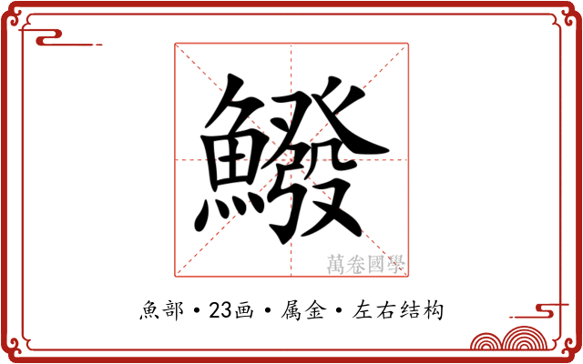 鱍 鱍