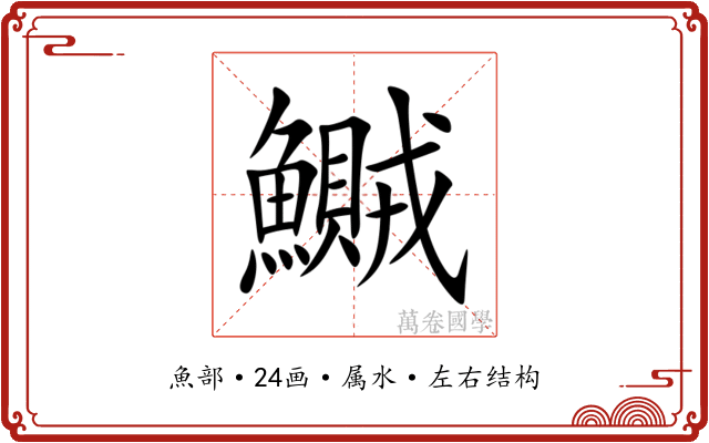 鱡 鱡