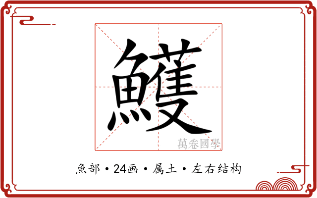鱯 鱯