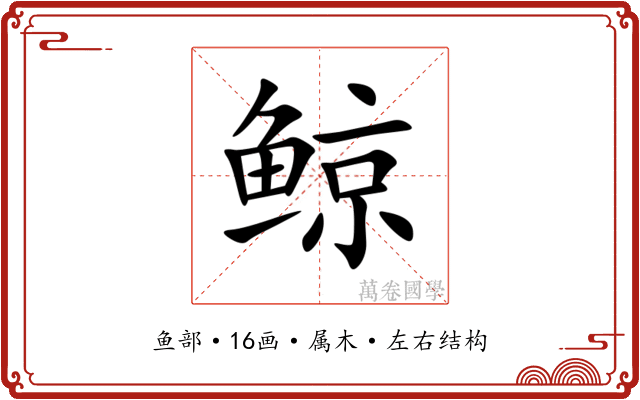 鲸 鲸