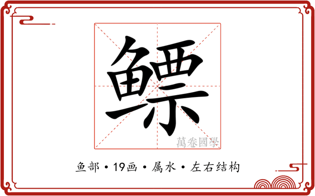 鳔 鳔