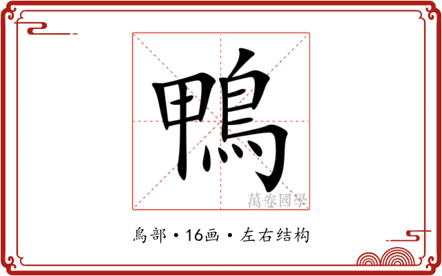 鴨