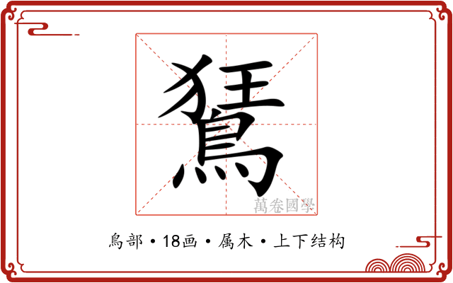 鵟 鵟