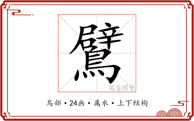 鷿 鷿