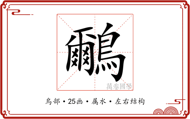鸍 鸍