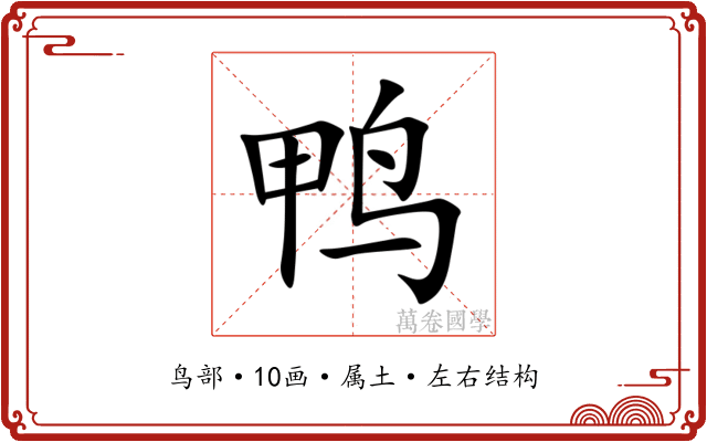 鸭