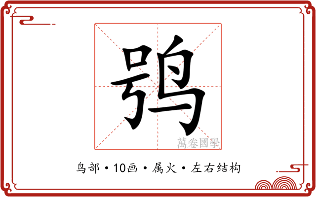 鸮 鸮