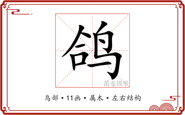 鸽 鸽
