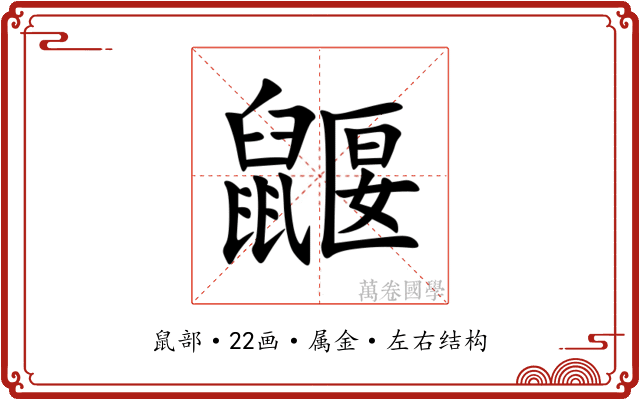 鼴
