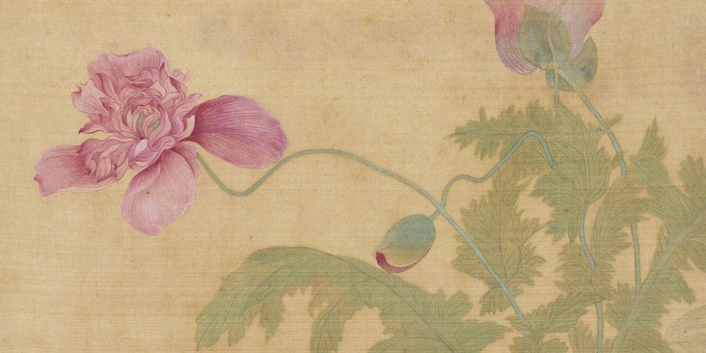 花卉十开局部